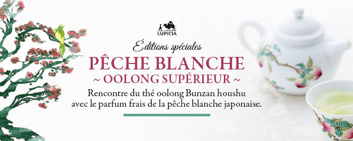 Pêche blanche Oolong supérieur