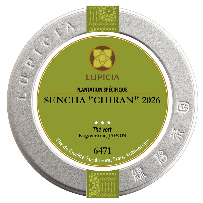 SENCHA "CHIRAN" 2026