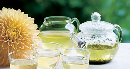 Thé vert japonais I Sencha AYA