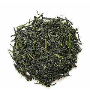 SENCHA "UJI" 2026