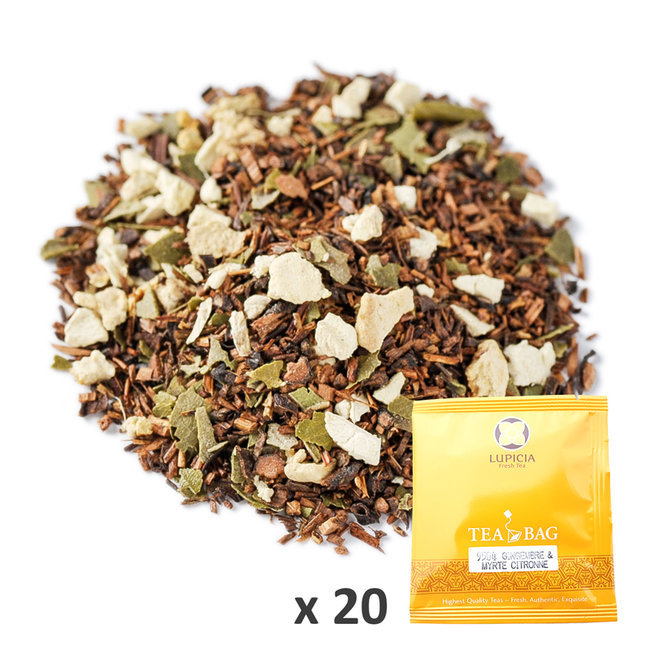9504TB20 GINGEMBRE & MYRTE CITRONNÉ TB x20  (Infusettes x20)