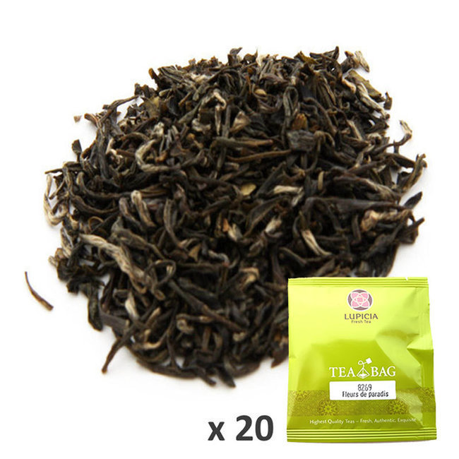 8269TB20 FLEURS DE PARADIS TB x20  (Infusettes x20)