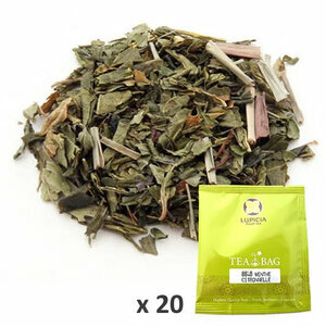MENTHE CITRONNELLE TB x20 MENTHE CITRONNELLE TB x20