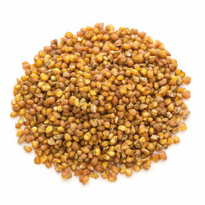 SARRASIN DE TARTARIE SOBACHA TBx30