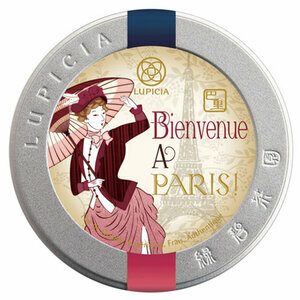 BIENVENUE À PARIS BIENVENUE À PARIS