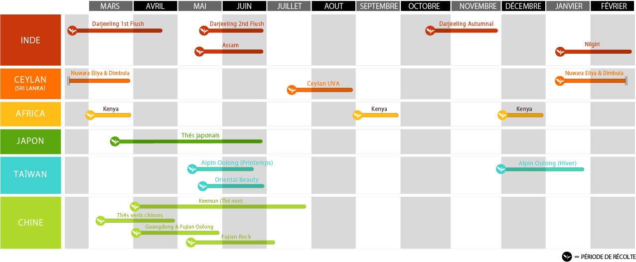 Calendrier des Récoltes : Lupicia