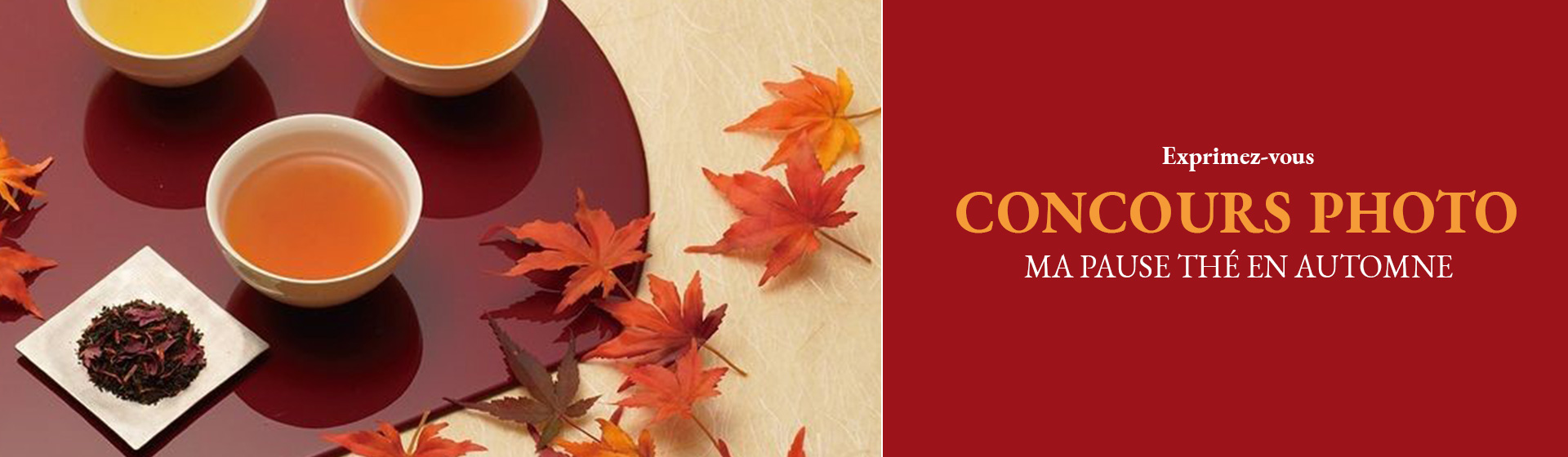 Concours photo