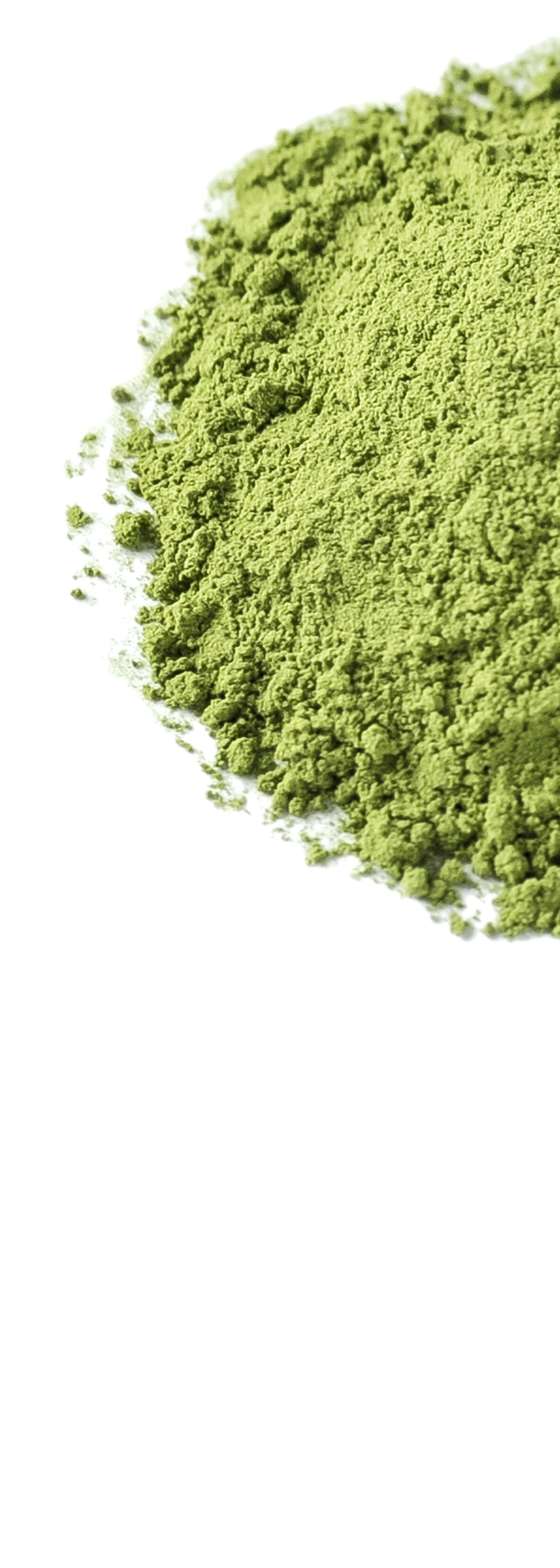 Préparation du thé Matcha Préparation du thé Matcha