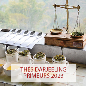Darjeeling primeurs 2023