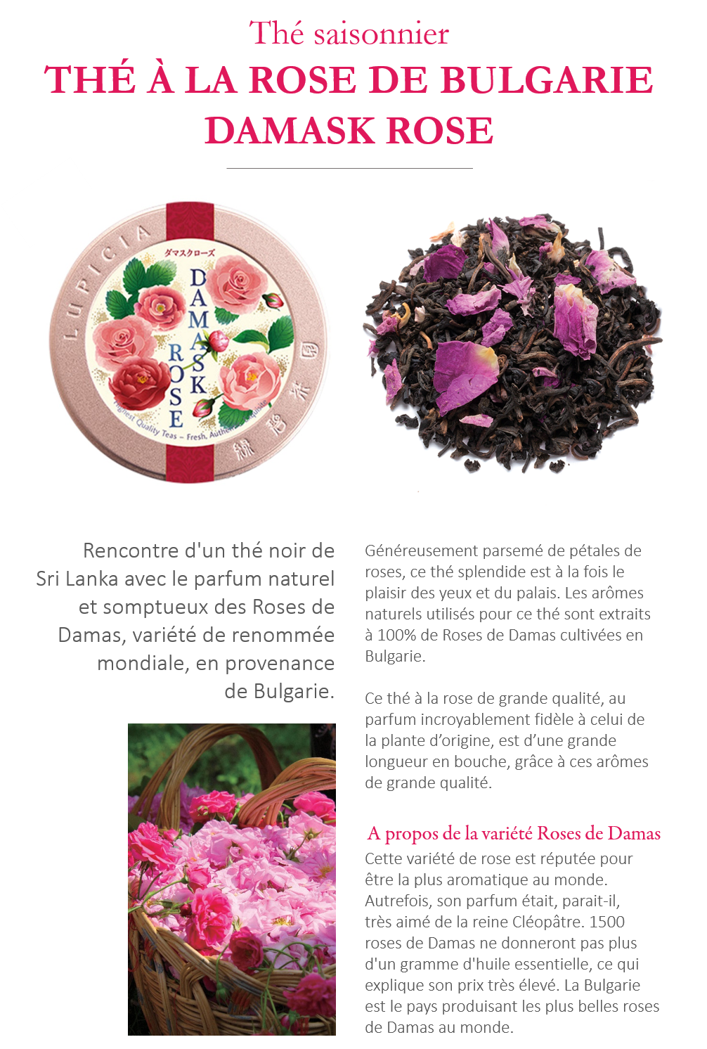 Damask - Thé noir à la rose de Bulgarie.